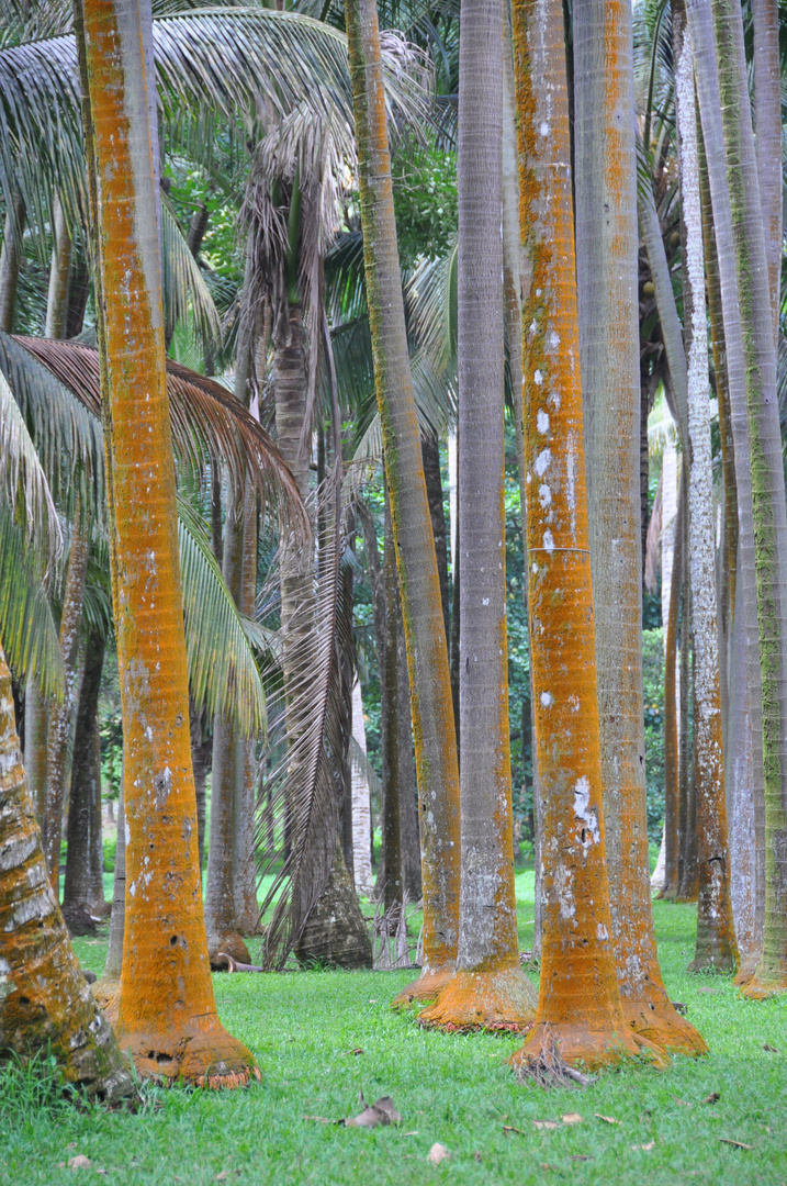 La Réunion