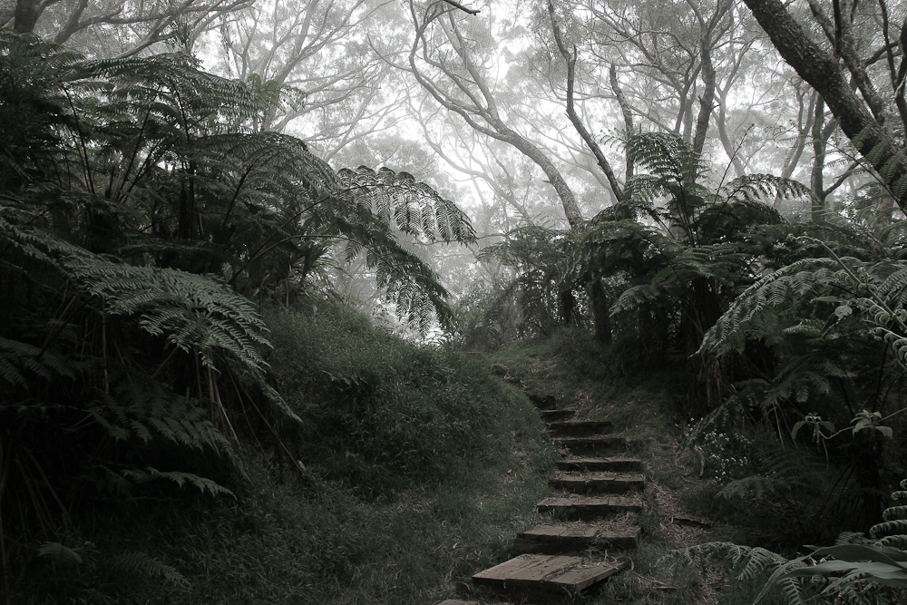 La Réunion (46)