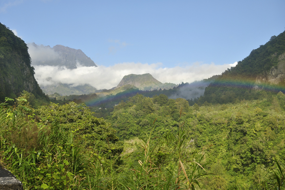 la réunion