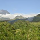 la réunion