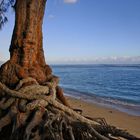 La Reunion Beach