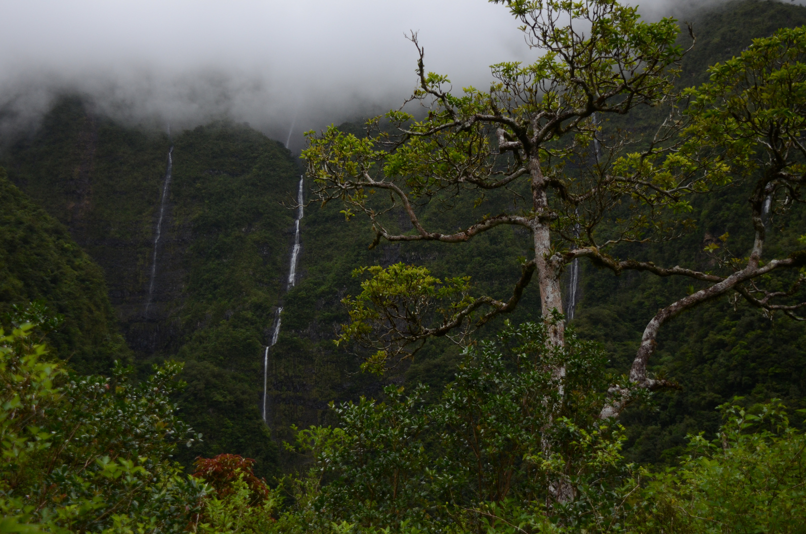 La Réunion - Cascades du Bras d´Anette