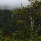 La Réunion - Cascades du Bras d´Anette