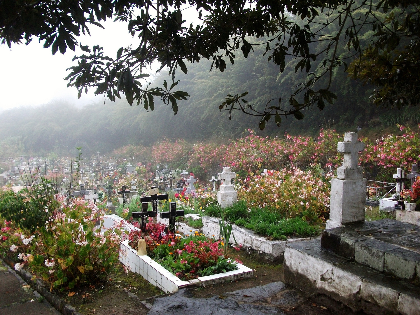 LA REUNION - Cimetière paysager de Hell bourg