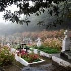 LA REUNION - Cimetière paysager de Hell bourg