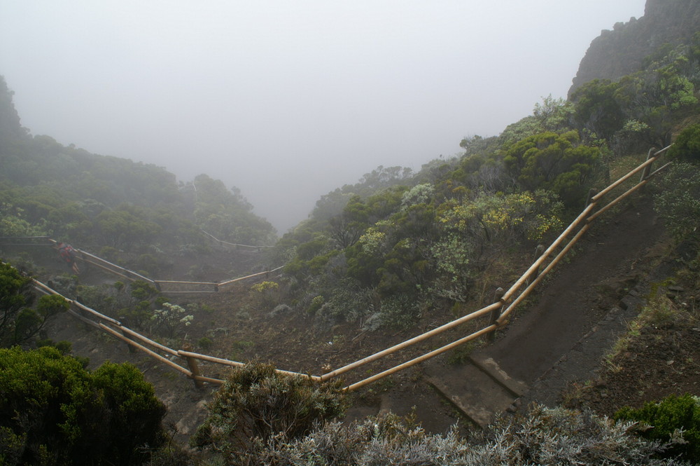 la Réunion dans la Brume