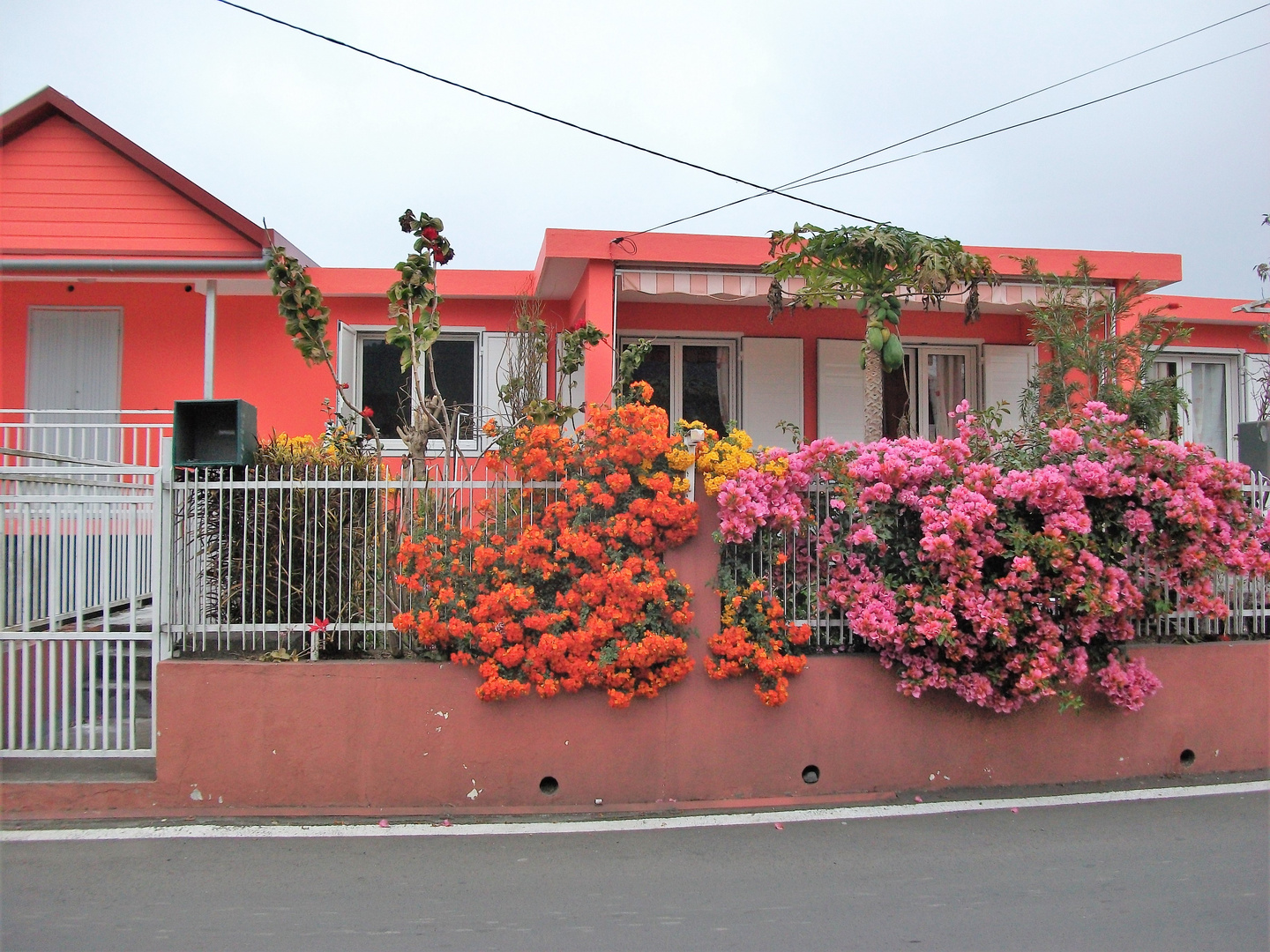 LA REUNION en couleurs !