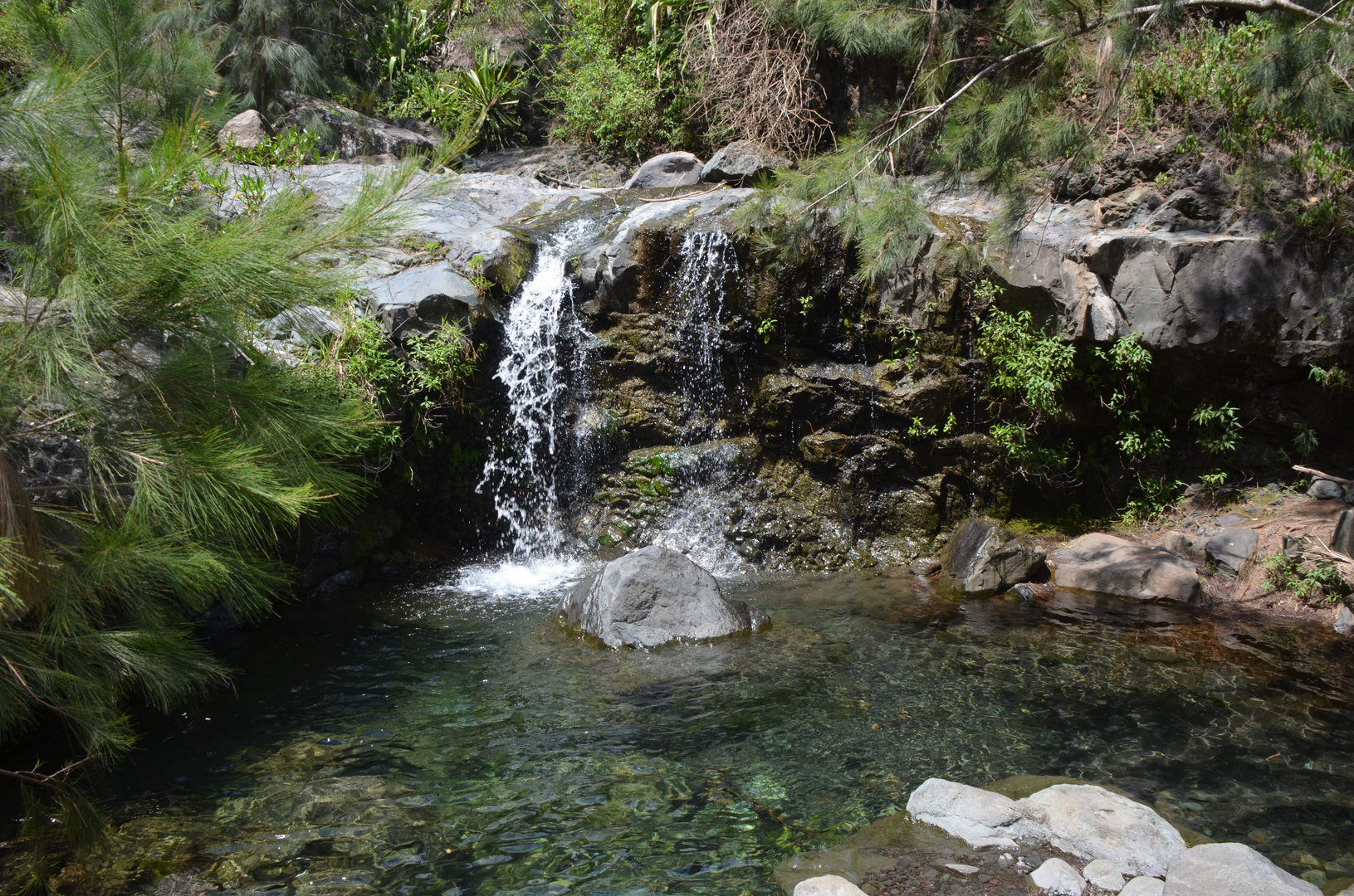 La Réunion - Kleines Gewässer am Weg zum Bras Rouge