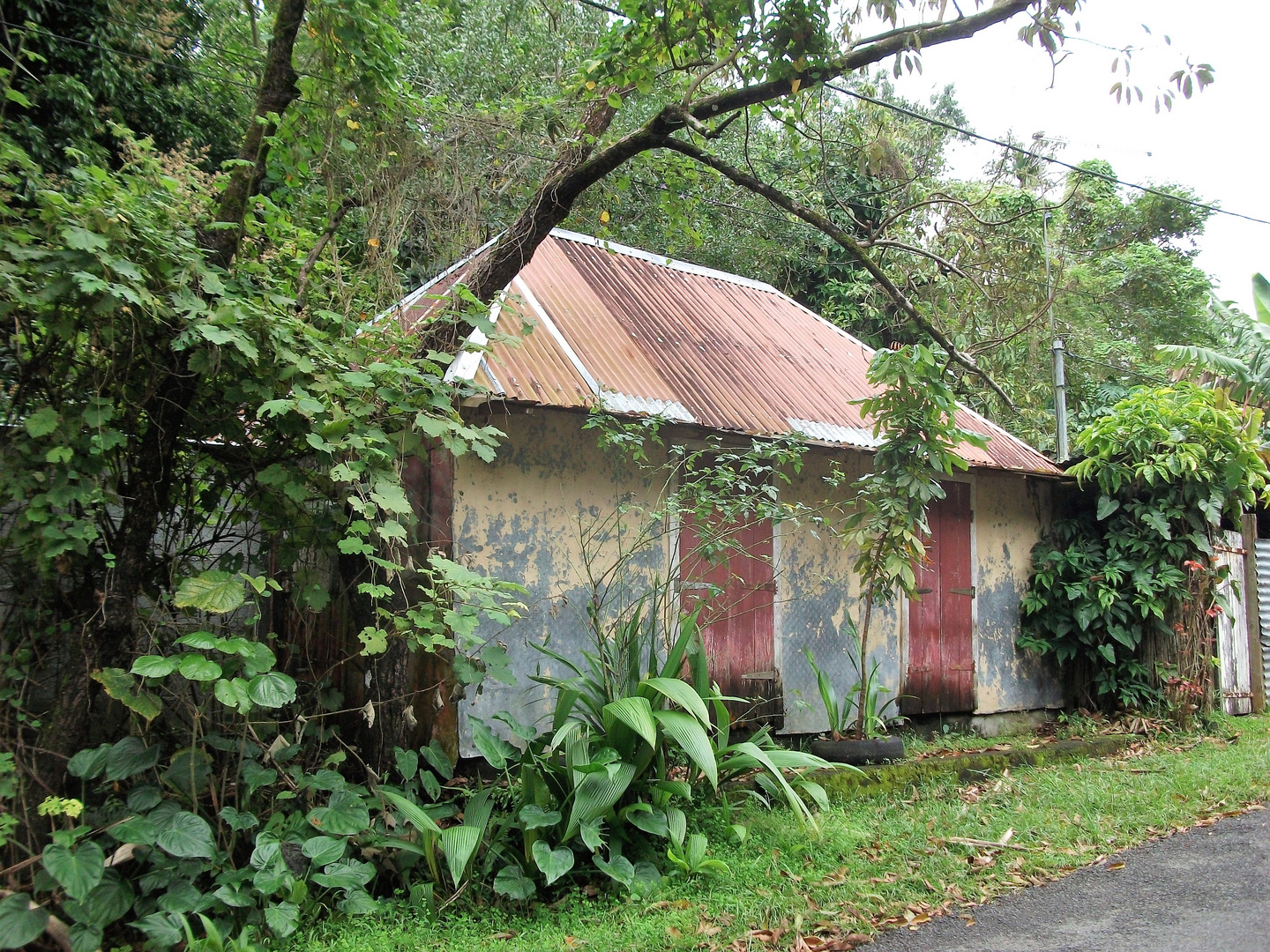 la reunion - La case ...