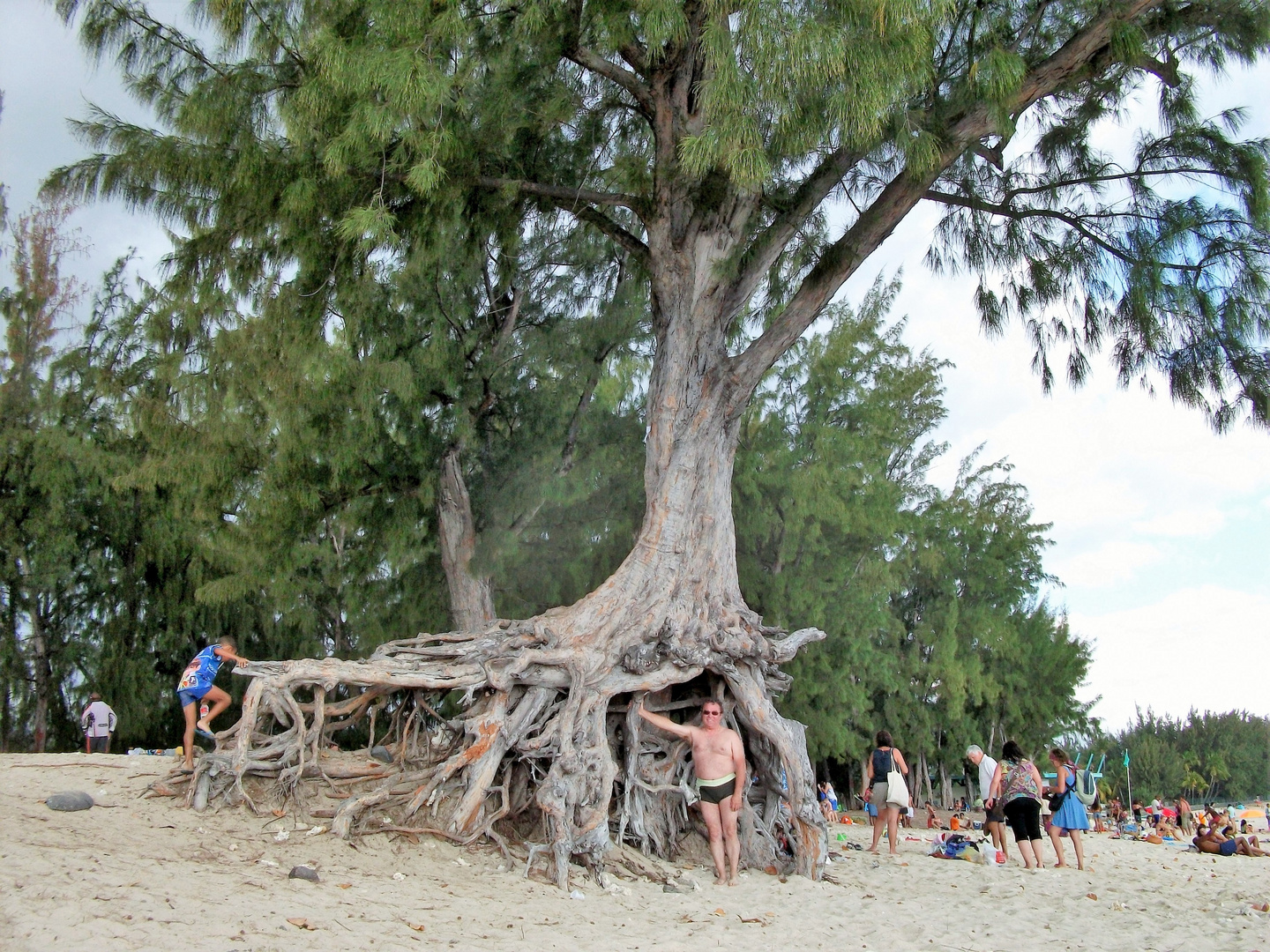 LA REUNION - Le Filao ...