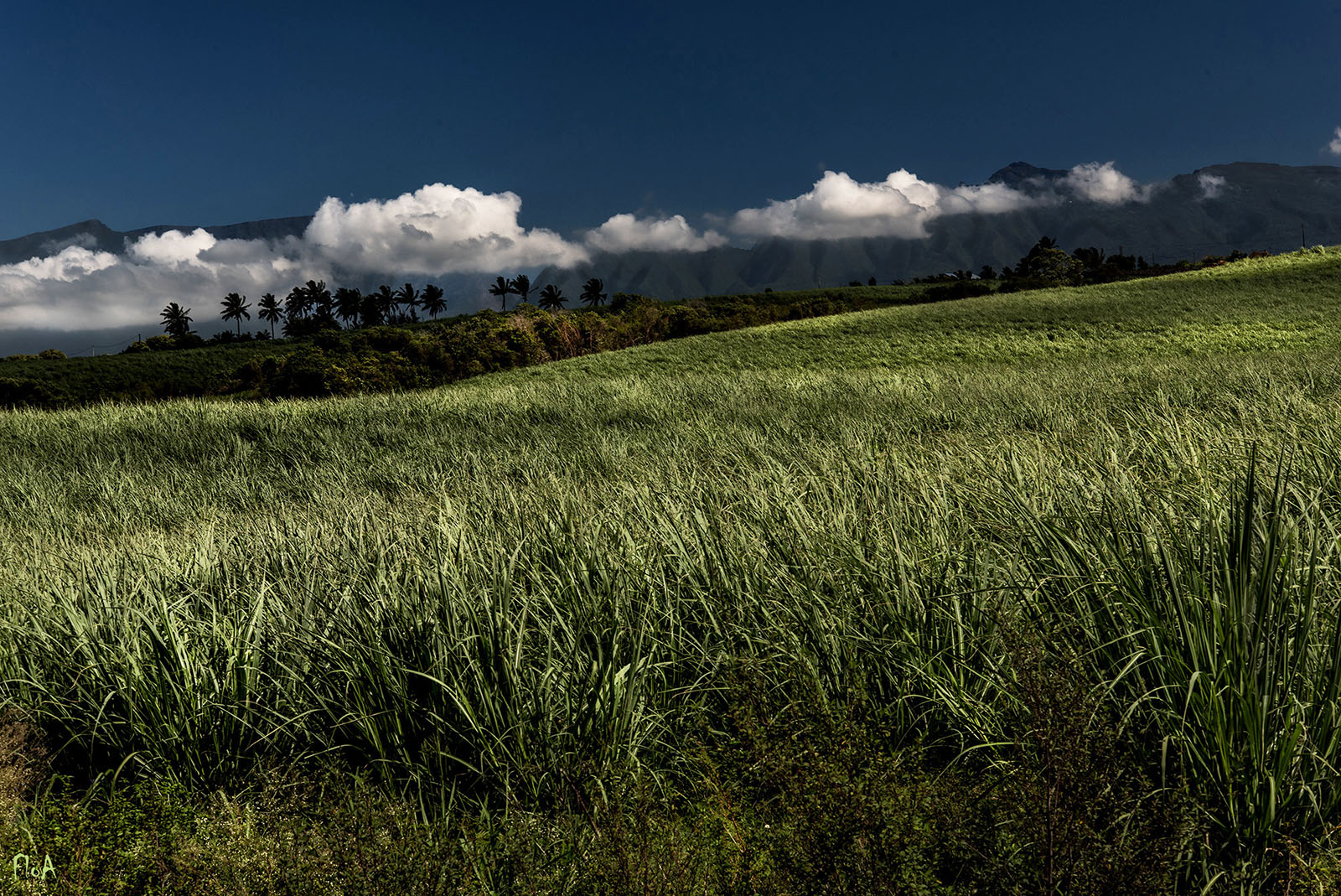 La Réunion, le sud...