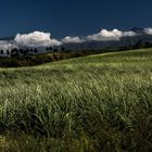 La Réunion, le sud...