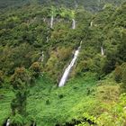 La Reunion - Le Voile de la mariée