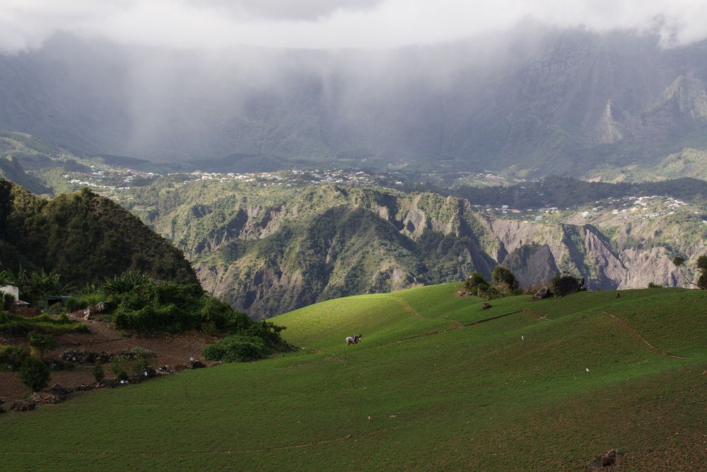 La Réunion - Linsenfelder mit Blick auf Cilaos