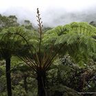 La Réunion Natur