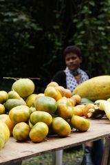 La Réunion - Obststand bei Salazie