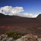 La Reunion / Plaine des Sables