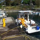 LA REUNION  Retour de pêche à Bras  Panon