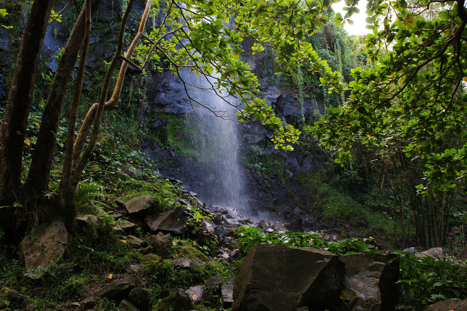 La Réunion - Wasserfall