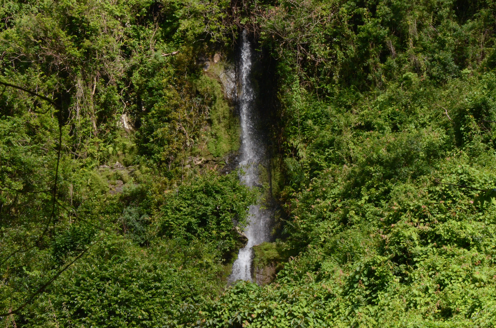 La Réunion - Wasserfall zum Riviere du Mat