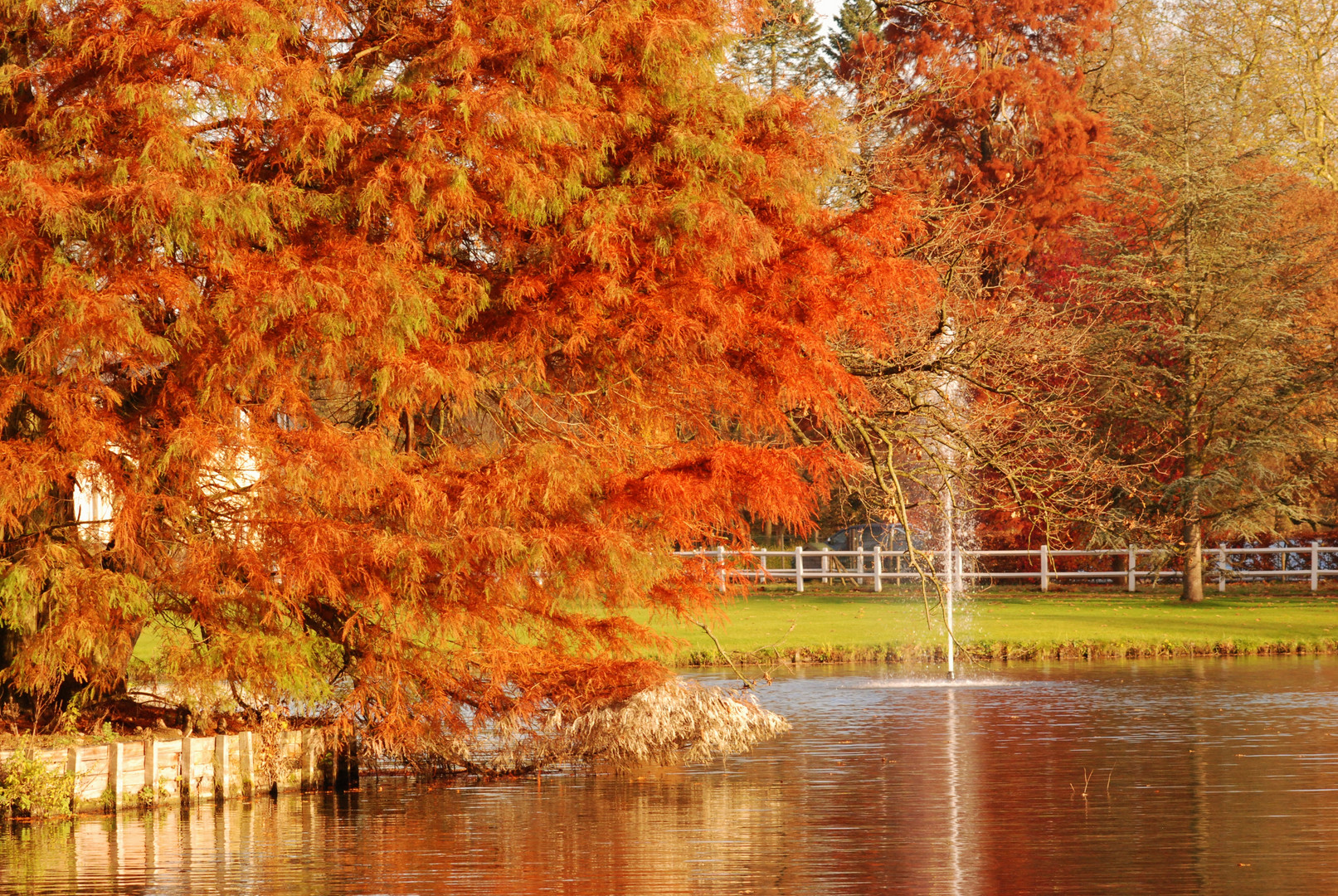 la richesse de l automne