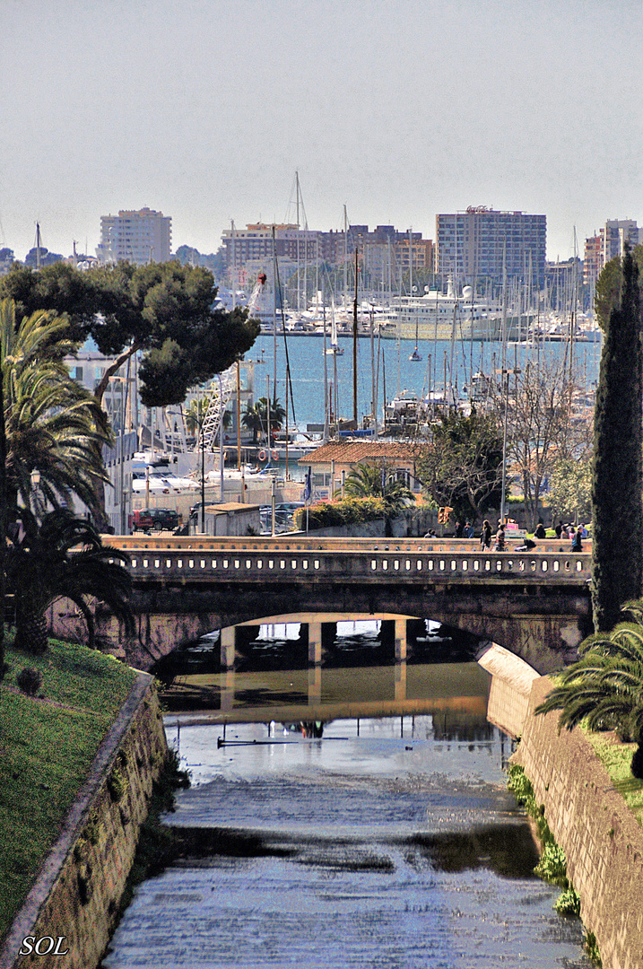 La riera y el mar