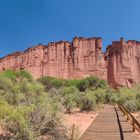  La Rioja - Talampaya - El Jardín Botánico