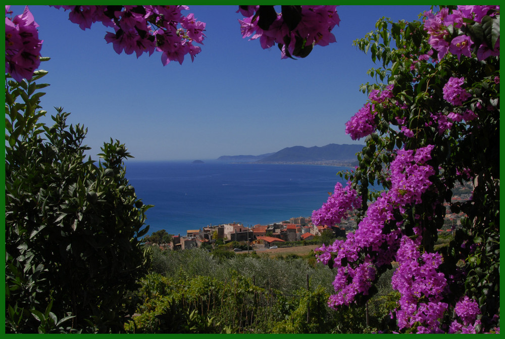 LA RIVIERA DEI "FIORI"