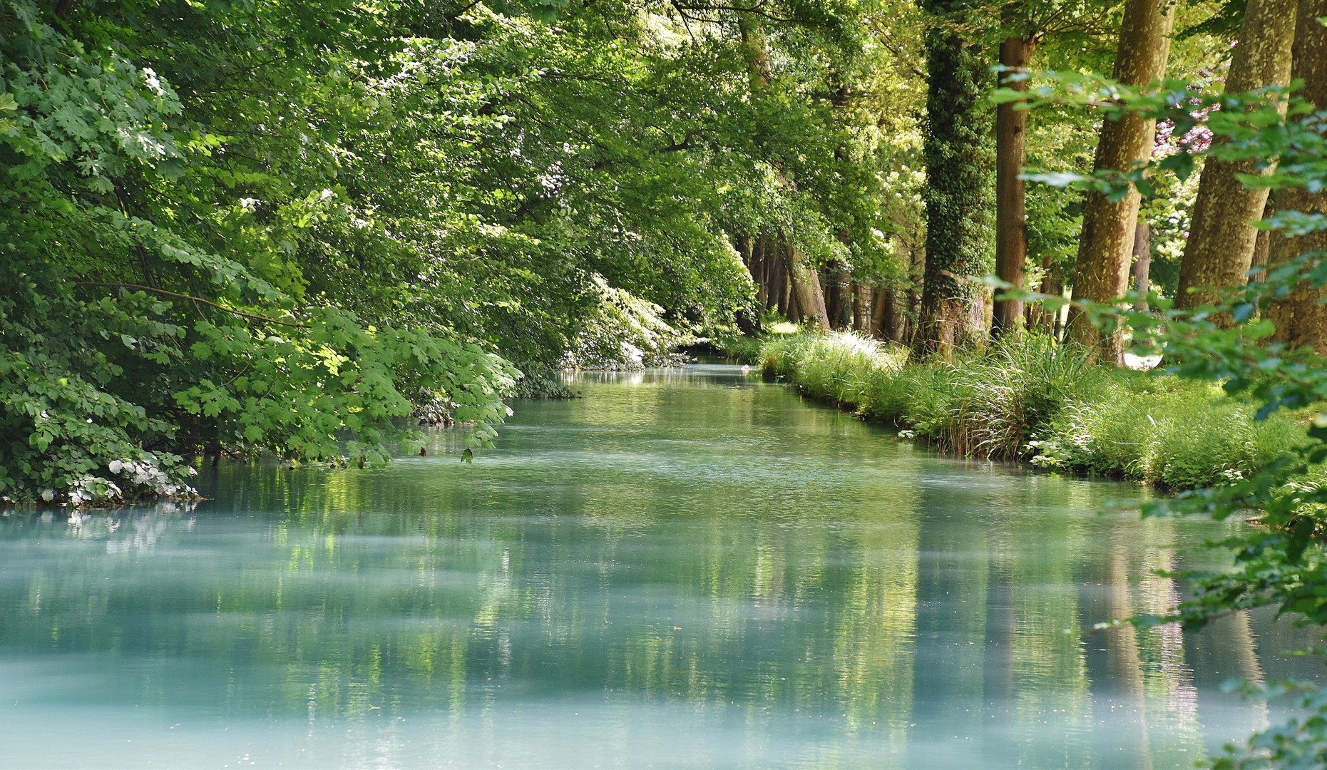 La rivière..