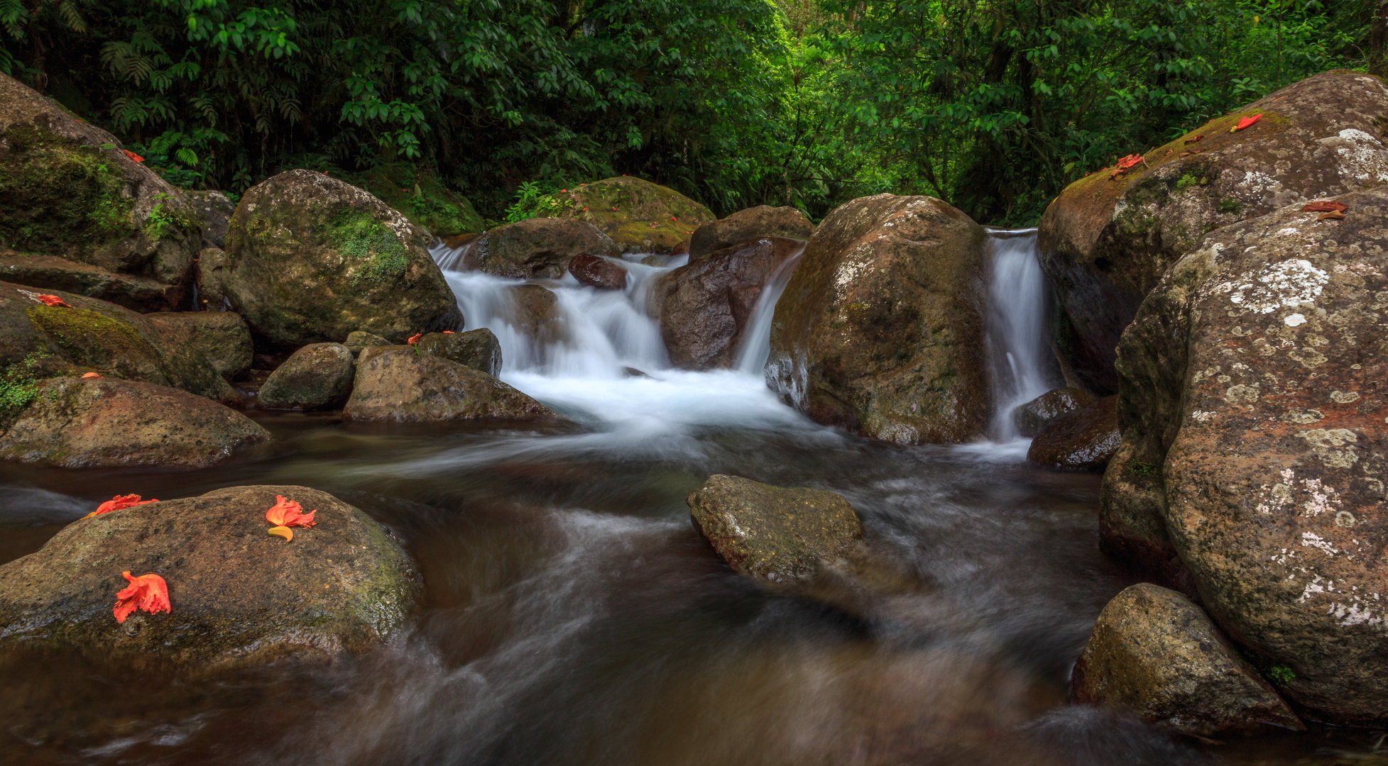 La rivière Alma