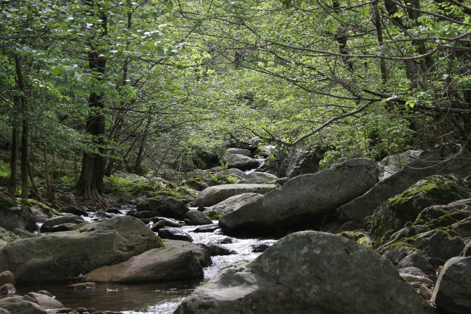 La rivière