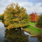 La rivière de mon enfance