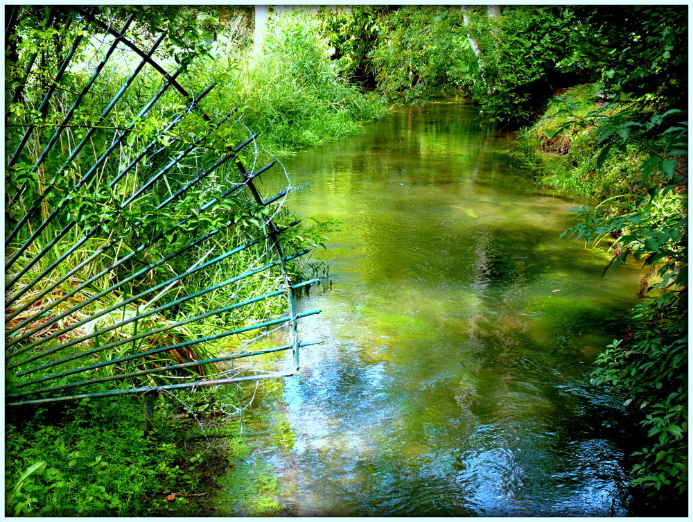 LA RIVIERE DE MONET