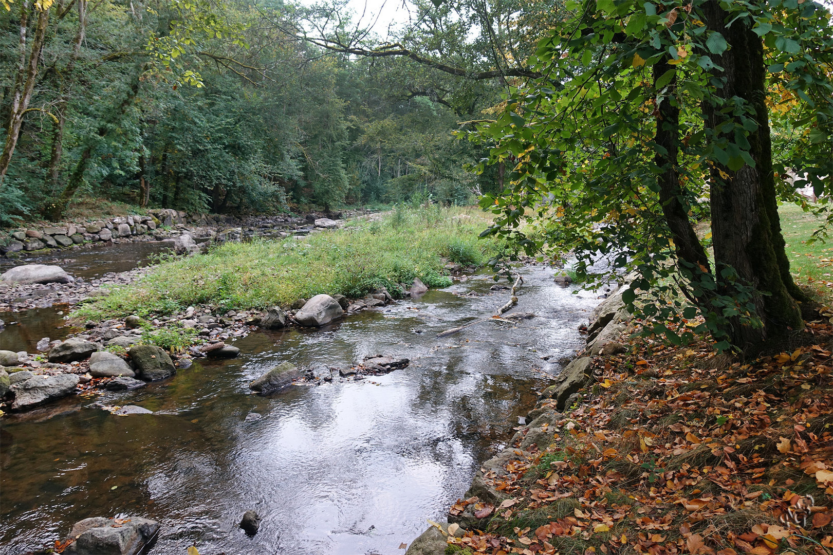 La rivière de notre enfance ....