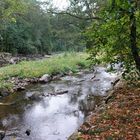 La rivière de notre enfance ....