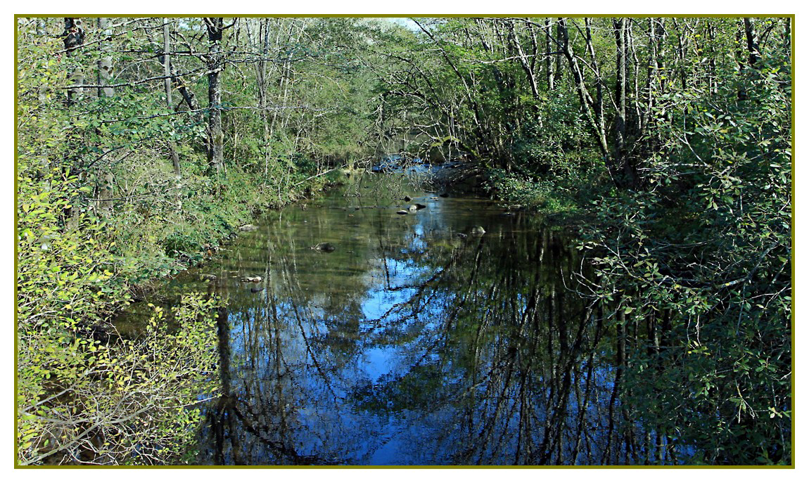 LA RIVIERE DES ECREVISSES