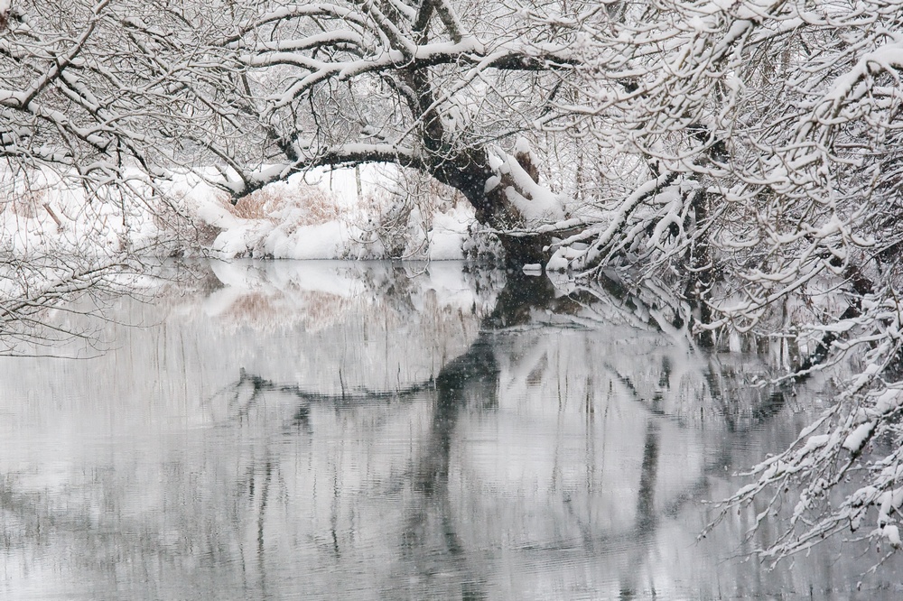 La rivière en bas de chez moi