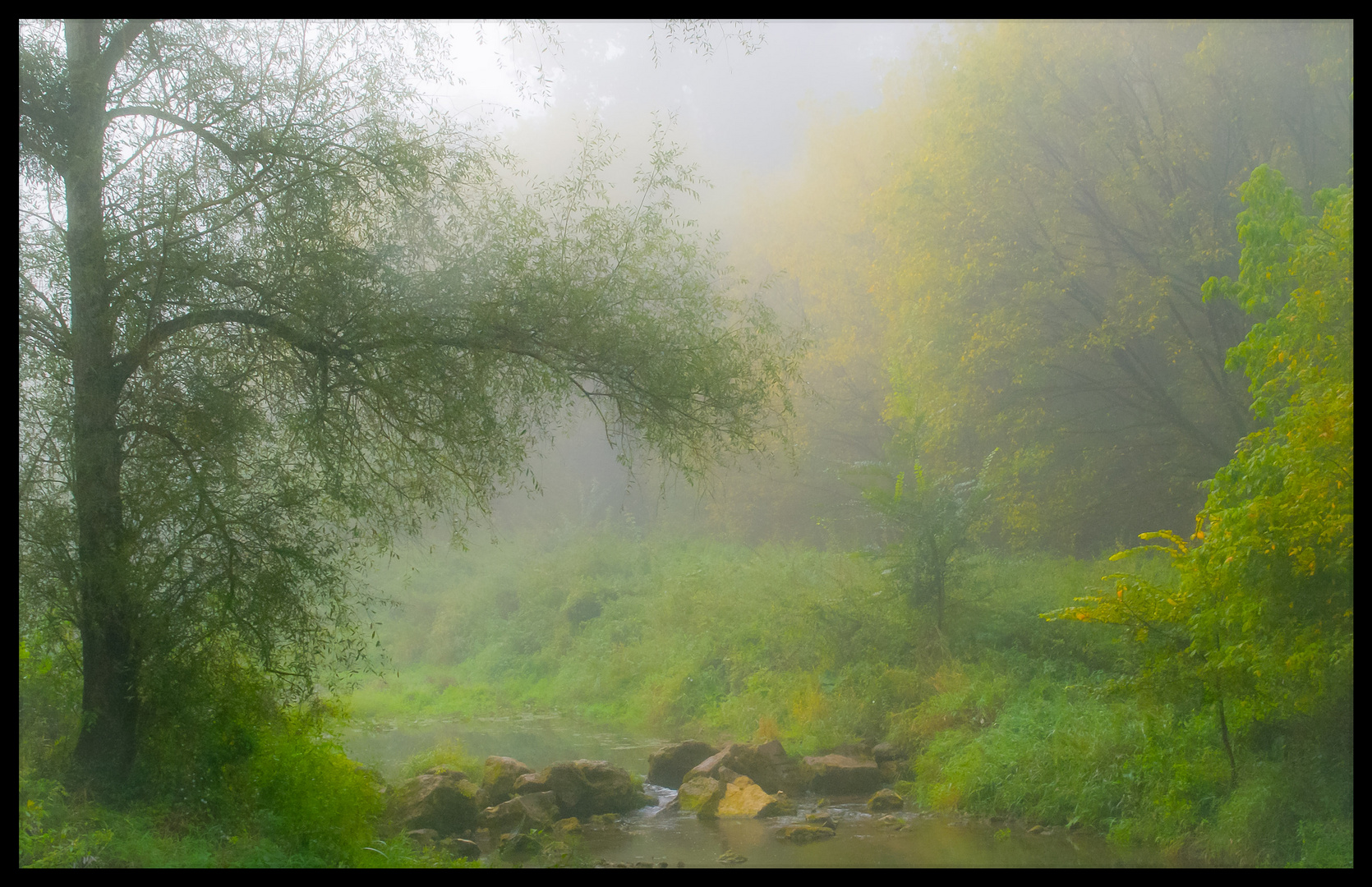 La rivière enchantée 