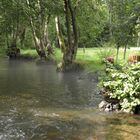 la rivière enchantée