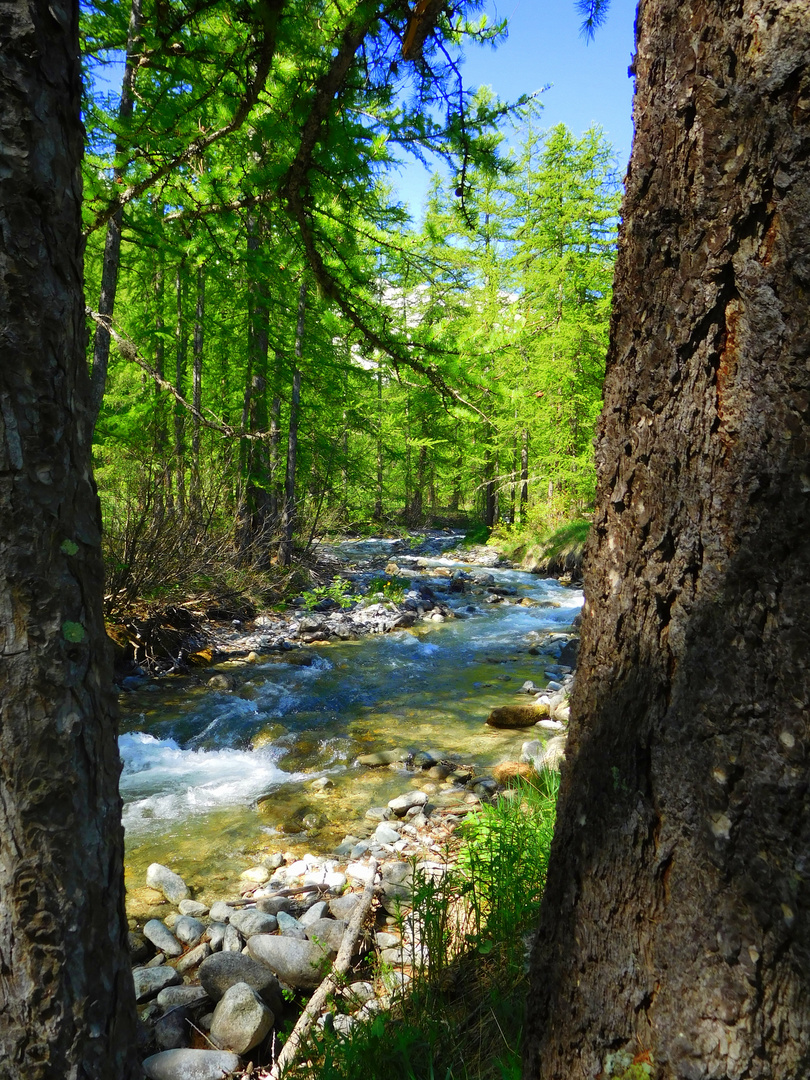 La rivière enchantée