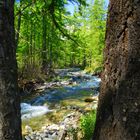 La rivière enchantée