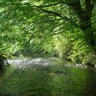 la riviere le goyen dans toute sa splendeur printaniére