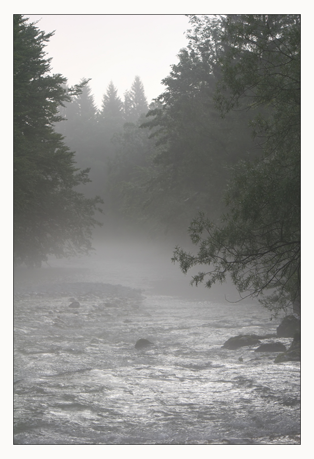 .la rivière nebuleuse