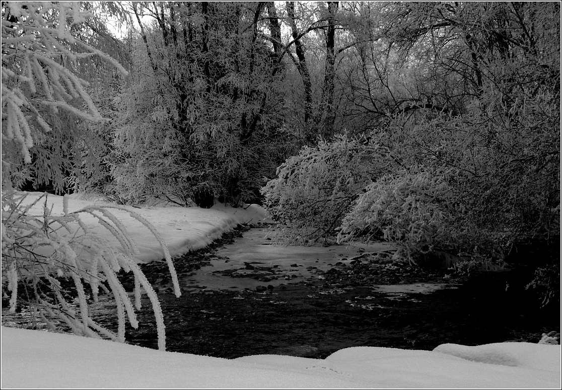 La rivière sous le givre