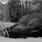 La rivière sous le givre