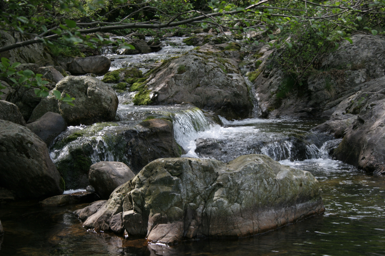 La rivière2