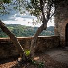 La rocca di Orte, giardino