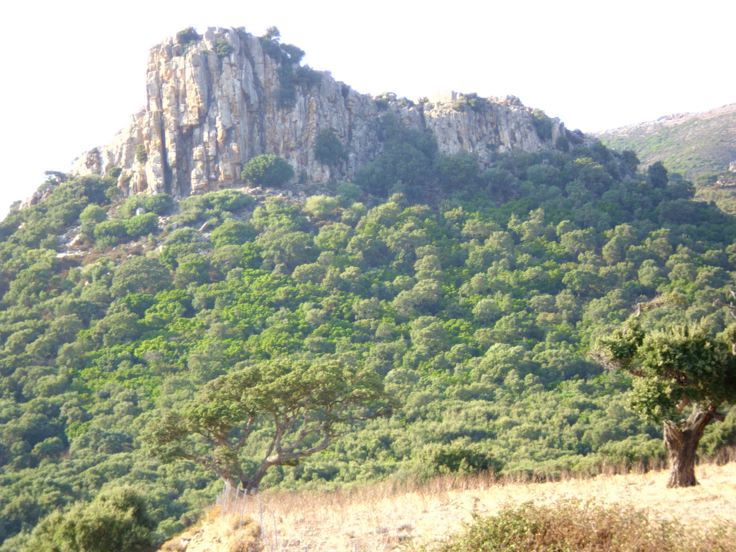 La Roccia del Castello (Arbus)