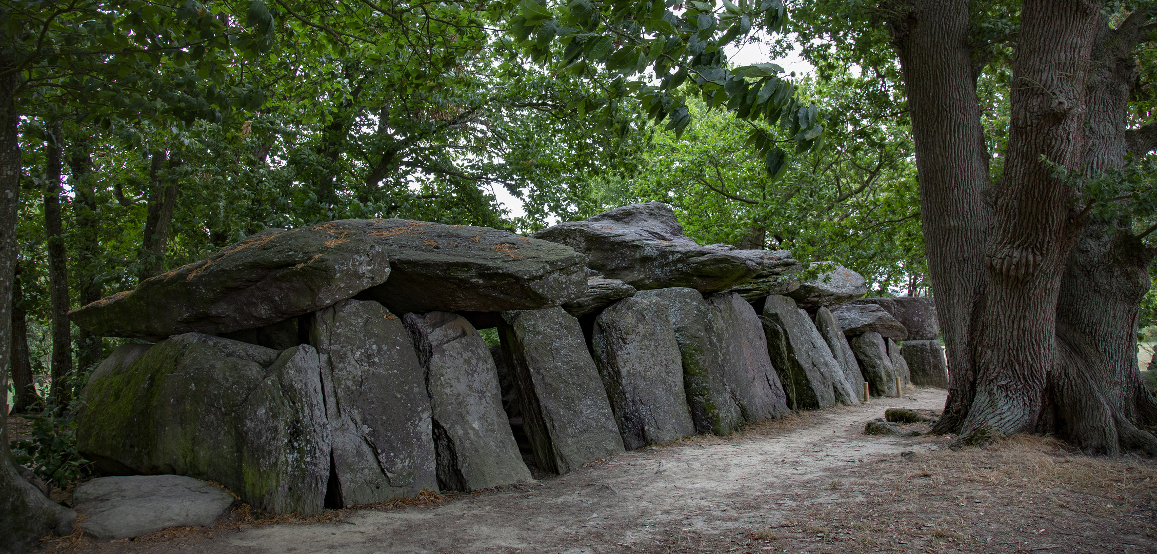 La Roche aux Fées bei Essé