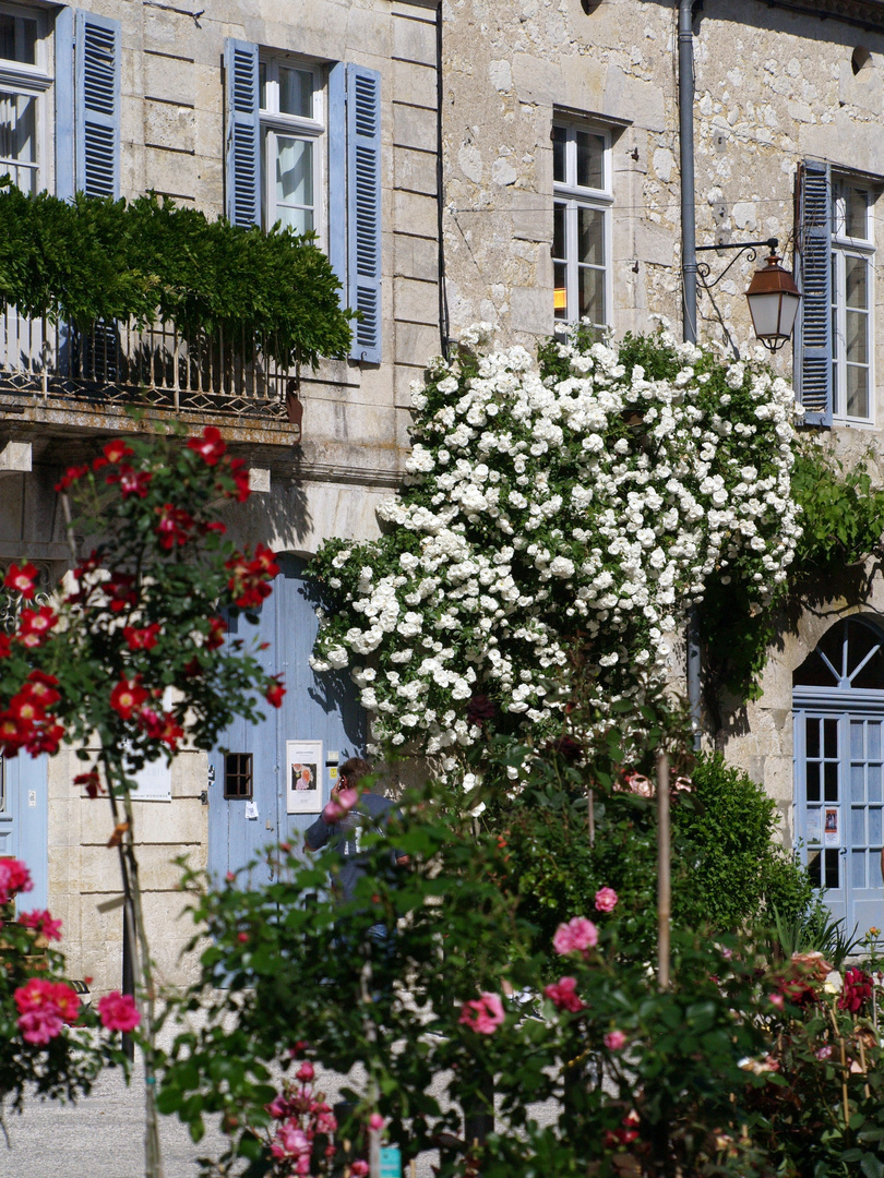 La Romieu – Des roses à profusion - Rosen in Hülle und Fülle